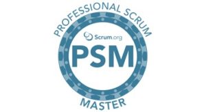 Professional Scrum Master